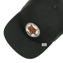 6P TrueFit Lazy Tiger Cap By Djinns